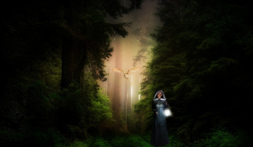 Bosque de Luciernagas